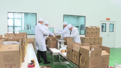 甘州企業(yè)蓄勢待發(fā)，沖刺一季度“開門紅”，酒業(yè)產(chǎn)品領跑新春市場